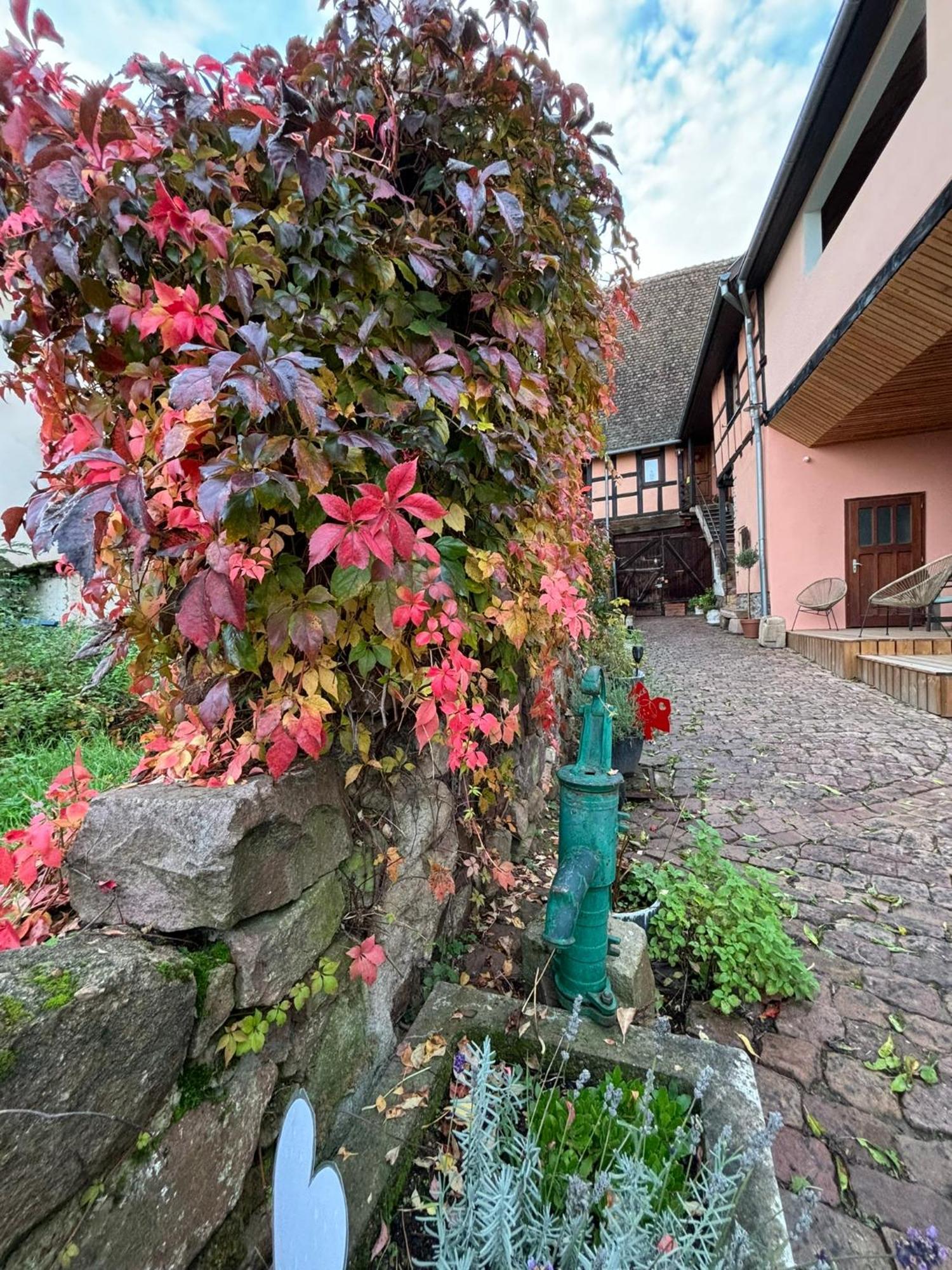 Gite Origin Gueberschwihr Exterior photo